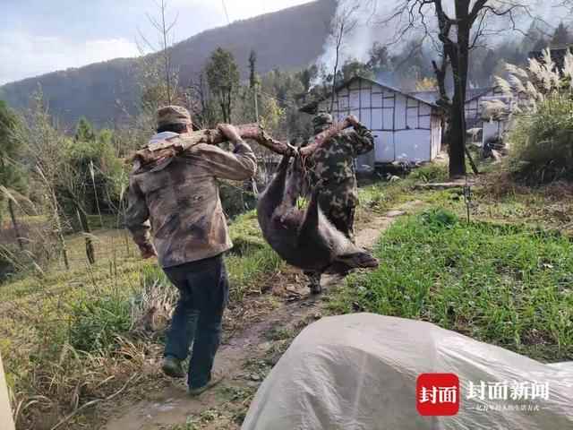 ����ɱ��Ұ��